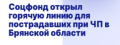 Социальный фонд открыл горячую линию по оперативному оказанию мер социальной поддержки в связи с трагическими событиями в Брянской области